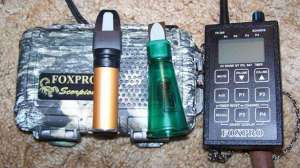 Coyote sounds lead 181003 161509