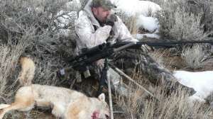 Coyote hunting shotgun lead 181003 155120