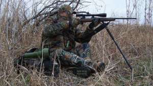 Coyote life cyle lead 181003 160011