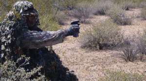 Coyote misting px july lead 181003 155351