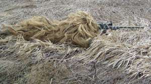 Coyote tactics lead 181004 084543