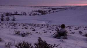 Coyotestay700 181010 154945