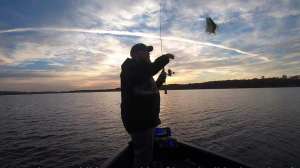 Crappie at sunset