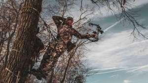 Cropped 294846260 1192398388250901 3542581385923443357 n