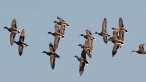 Cropped 426127591 786300963541561 3372975850285473191 n