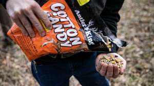 Cropped Antler King Cotton Candy 032922 7