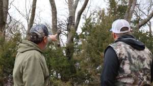 Cropped BW1979 Treestand set up just off a trail copyright Mark Kayser