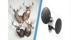 Cropped deer mount system