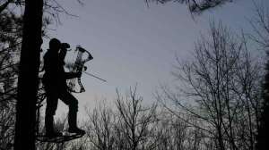 Cropped glassing at dawn