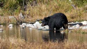 Cropped i Stock 123692093