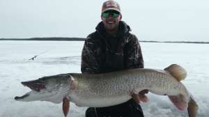 Cropped ice fishing muskies