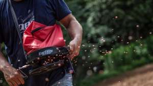 Cropped spreading food plot seed