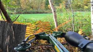 Crossbow food plot