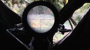 Crossbow scope view