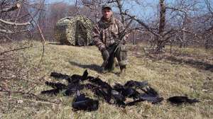 Crow hunting lead 181004 084443