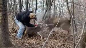 Cutting bucks free angle grinder