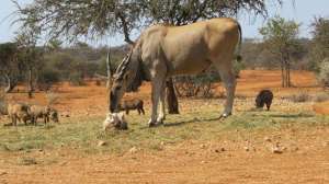 Day 2 momba lead 181003 161548