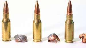 Deepwoods700 181003 155722