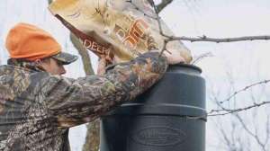 Deer baiting may wtj lead 181003 155448