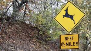 Deer crossing sign wooded ditch