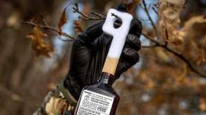 Deer scent beauty cropped