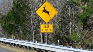 Deer crossing sign 11 10 18