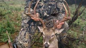 Deer hunting scouting report september lead 181003 155803