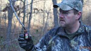Deer hunting strategy june 2 lead