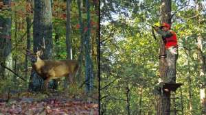 Deer stands wj july lead 181003 155840