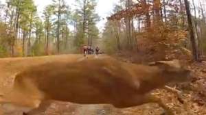 Deerbiker700 181003 161607