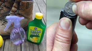 Diy hunting stuff lead 181003 161652