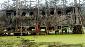 Diyblinds700 181003 161819