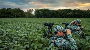 Drought700 181003 155731