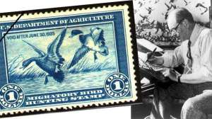 Duck stamp trivia november lead 181003 161829