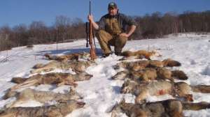 Eastern coyote hunting august lead 181003 155652