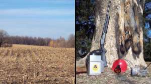 Eastern fox hunting september lead 181003 161841