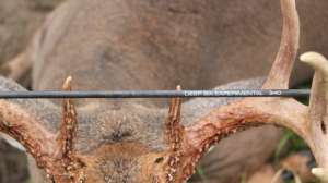 Easton experimental deep 6 181003 155710