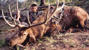 Excessive cow call elk hunting 181003 160023