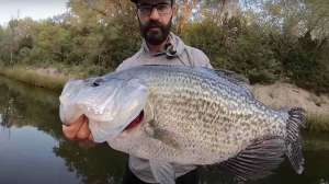 Exposure 4 pound crappie Ty Pig Patrol