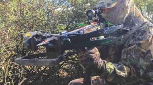 Facemask and gloves cropped