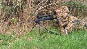 Fencelinepredators700 181003 161935