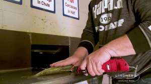 Fillet walleyes electric knife