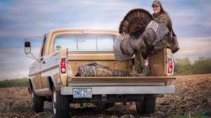 First turkey in truck