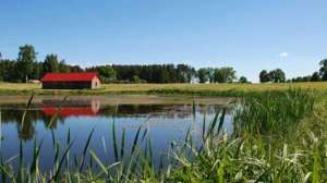 Fishlambeth700 181003 155210