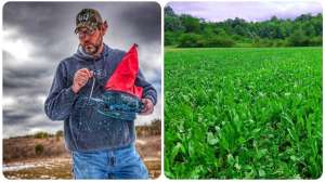 Five frost seeding tips