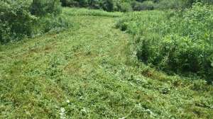 Foodplot1 Scent Blocker 181003 162328