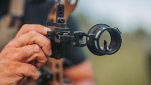 For web bowsight roundup beauty