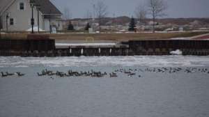 Freeze700lead 181003 161830