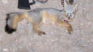 Fromreader holland hunter700 181003 162122