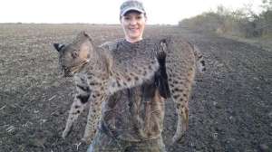 Ftr christmasbobcat700 181003 162051